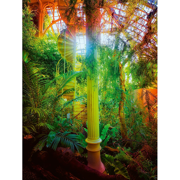 Greenhouses-Cathedrals For Plants - Ảnh 3