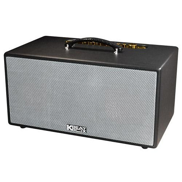 Loa karaoke loa kéo Acnos KsNet 450 2 Bass 2 Treble - Hàng Chính Hãng