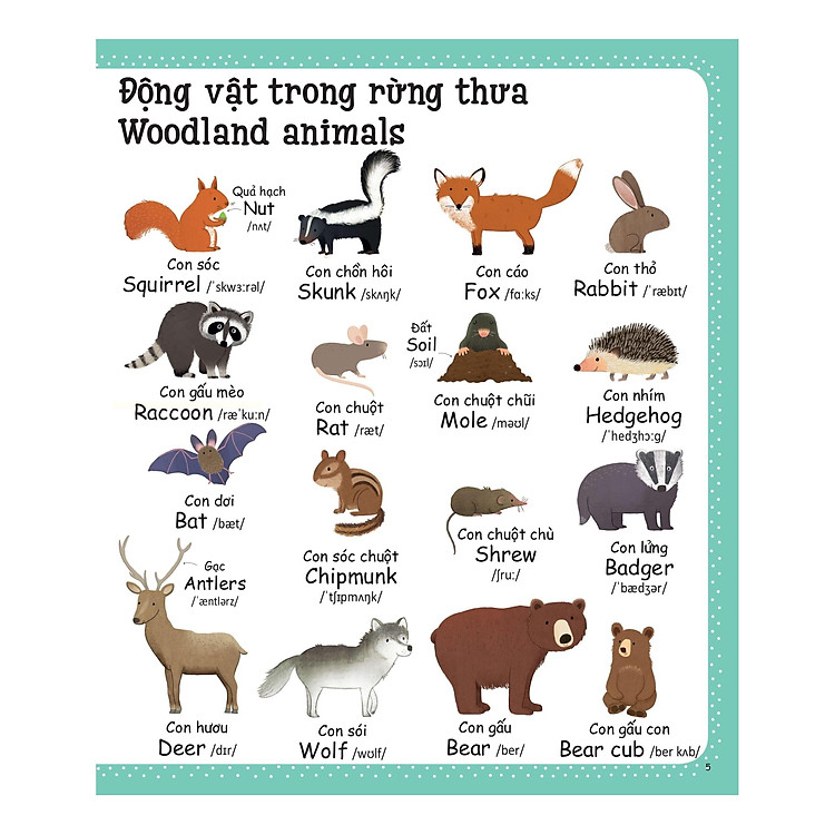 Từ Vựng Đầu Tiên Của Tôi - My First Word Book - Thiên Nhiên - Ảnh 3