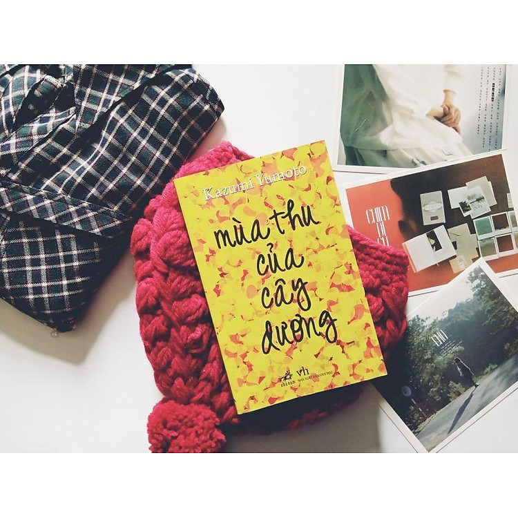 Mùa Thu Của Cây Dương (TB 2024) - Ảnh 2