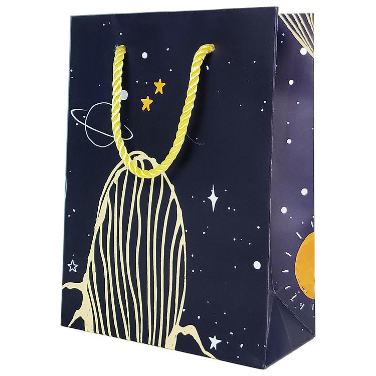 Túi Đựng Quà 16 x 22 x 8 cm - The Whale - Ảnh 2