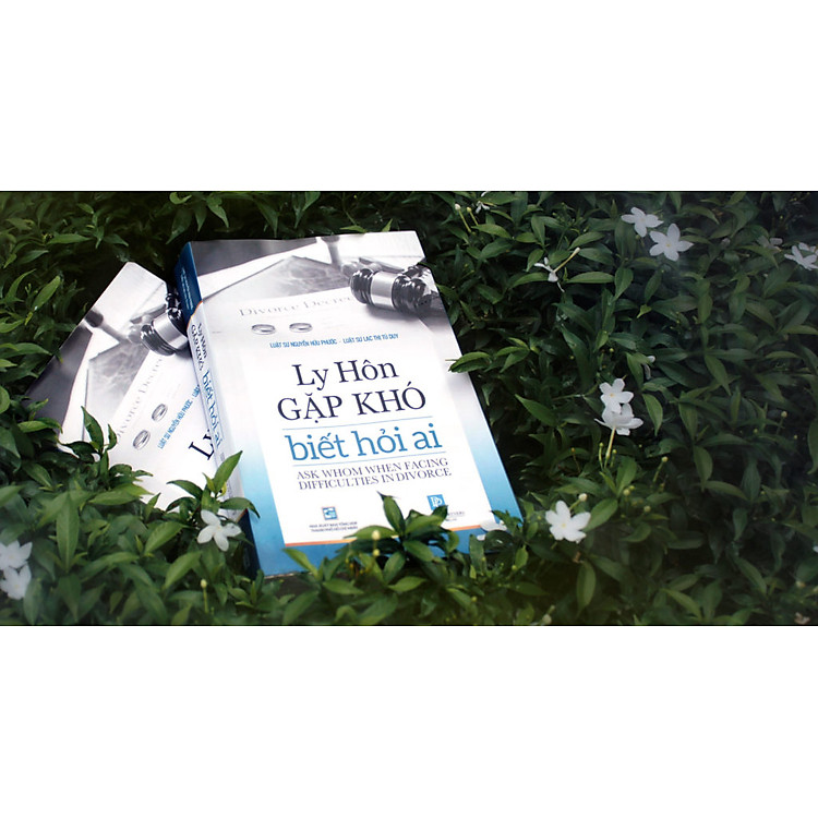 Ly Hôn Gặp Khó Biết Hỏi Ai - Ảnh 4