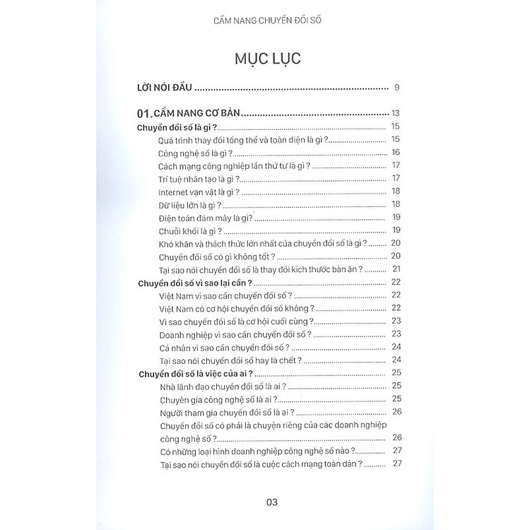 Cẩm Nang Chuyển Đổi Số - Ảnh 2