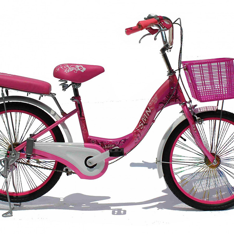 Xe đạp thời trang SMNBike WT 20-02 ( 8-10 tuổi )