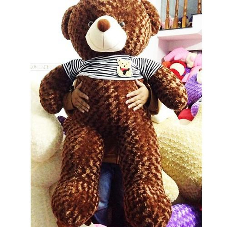 Gấu bông Teddy Cao Cấp Cao 1m2 màu Nâu hàng Gấu Bông Gía Rẻ