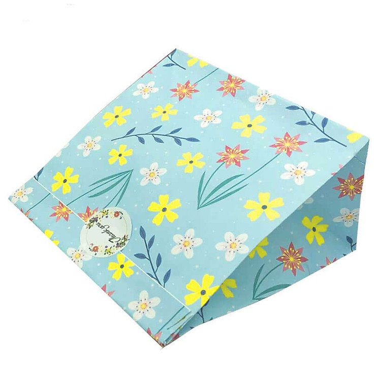 Combo 10 túi giấy nhiều màu KQ02 ( 19 x 16 x 9)