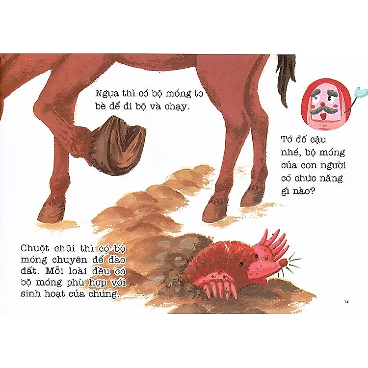 Bí Mật Của Móng Tay - Sự Kỳ Diệu Của Cơ Thể (Tái Bản 2020) - Ảnh 7