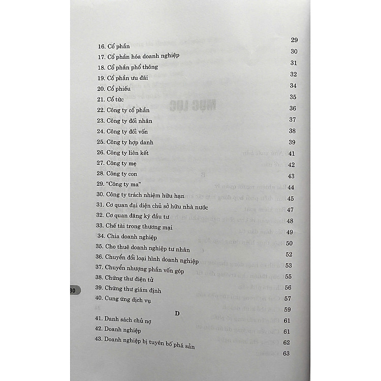 Thuật Ngữ Pháp Lý Trong Lĩnh Vực Thương Mại và Đầu Tư - Ảnh 7