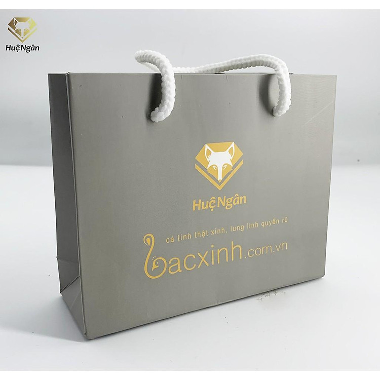 Túi Giấy Cứng Huệ Ngân TTSHN01 - Ảnh 2