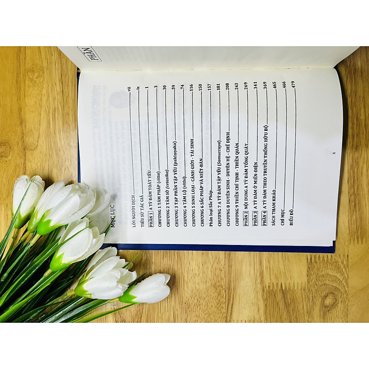 Giáo Lý A Tỳ Đàm Tập 1 - Ảnh 5