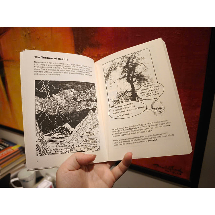 Introducing Fractals: A Graphic Guide - Ảnh 6