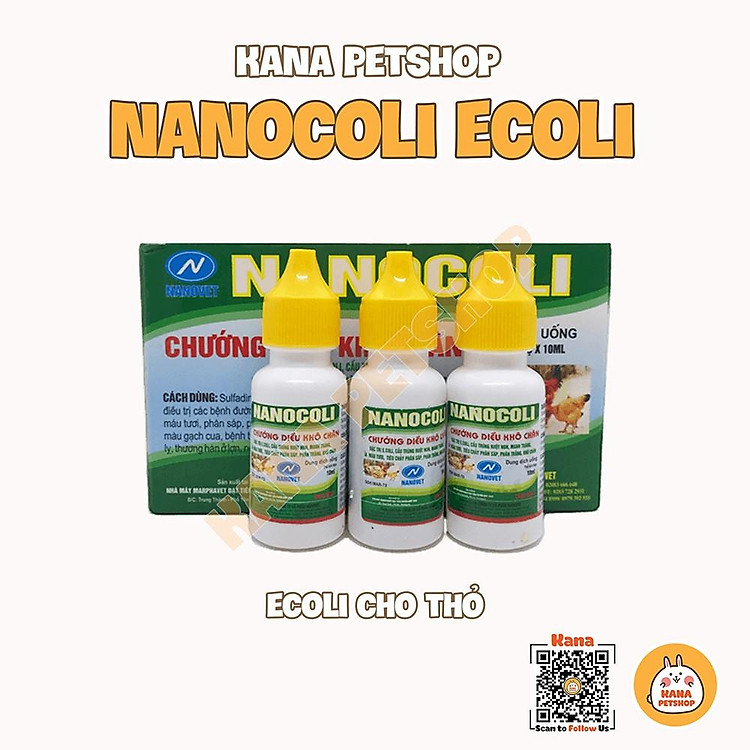 Ecoli Cầu Trùng cho thỏ