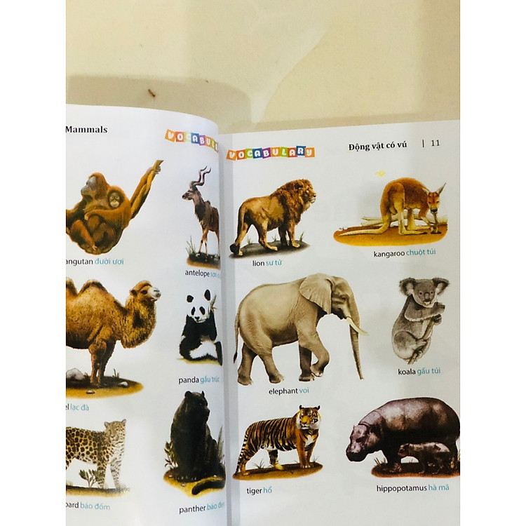 5500 Từ Vựng Tiếng Anh Thông Dụng Nhất (Bản Màu) - Ảnh 3