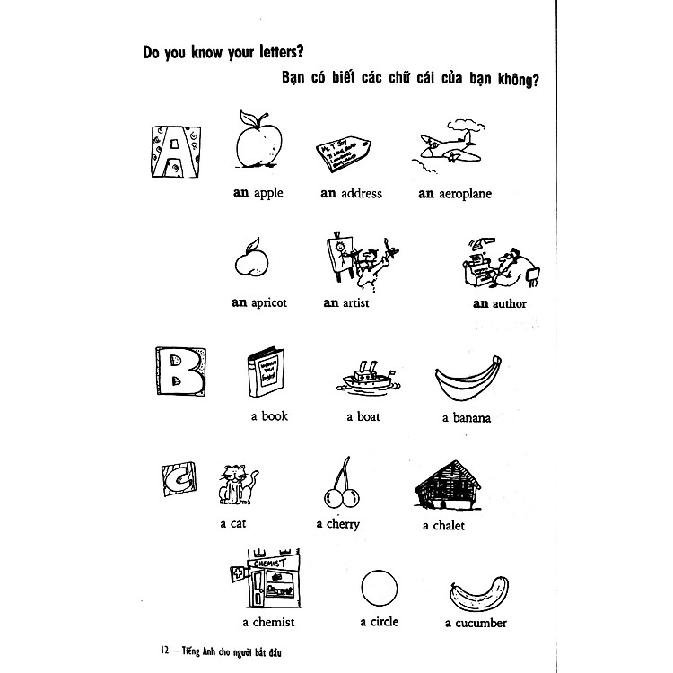 Tiếng Anh Cho Người Bắt Đầu (Giáo Trình Tự Học) - Ảnh 9
