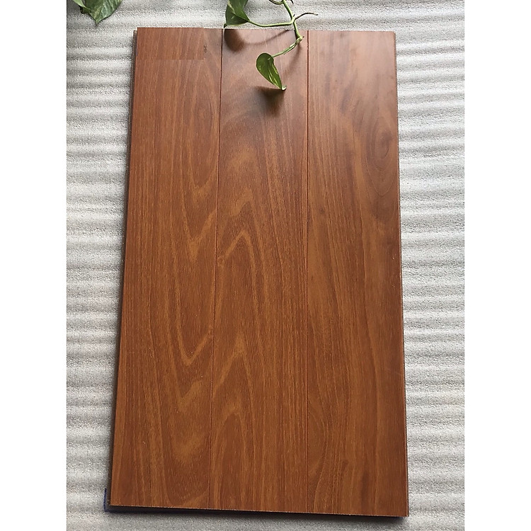 Sàn gỗ cao cấp Sophia S903 - 1x1m