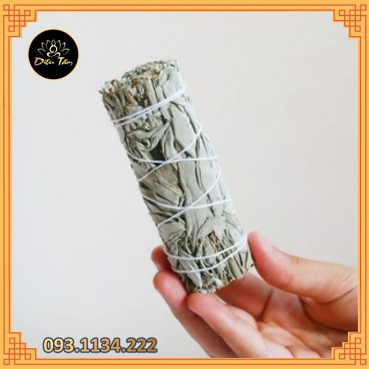 Xô Thơm Trắng WHITE SAGE (10cm - 12cm) - Ảnh 3