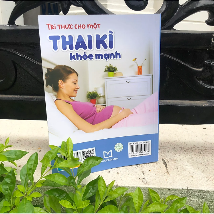 Tri Thức Cho Một Thai Kì Khỏe Mạnh - Ảnh 3
