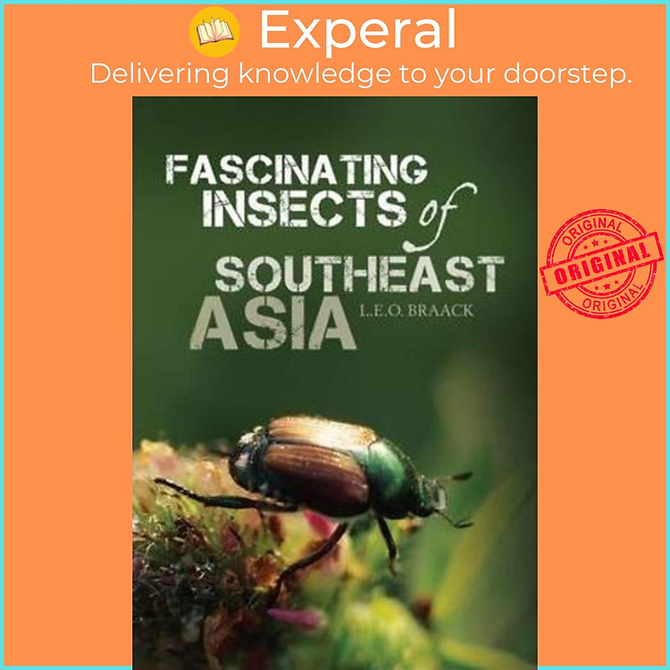 Sách - Fascinating Insects of Southeast Asia by L.e.o. Braack (paperback)