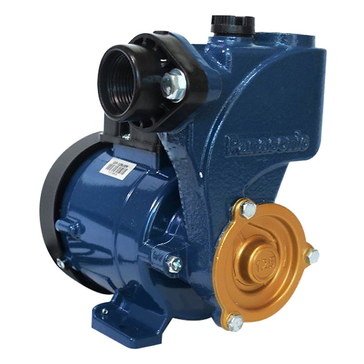 Máy Bơm Nước Panasonic GP-129JXK-SV5 (125W)