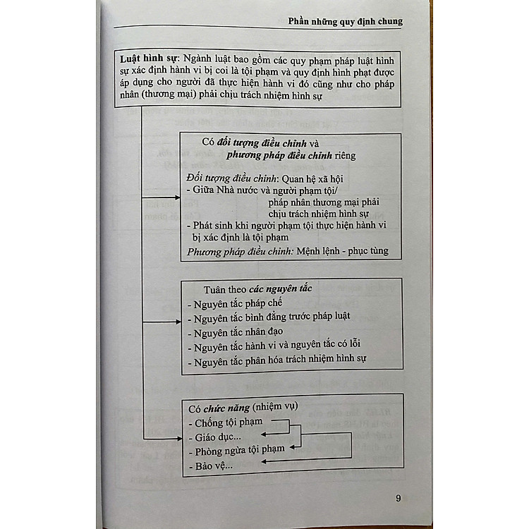 Mô Hình Luật Hình Sự Việt Nam - Ảnh 3