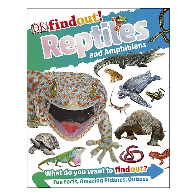 Sách DKfindout! Reptiles and Amphibians