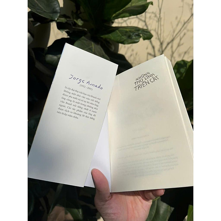 Những Thủ Lĩnh Triền Cát - Ảnh 2