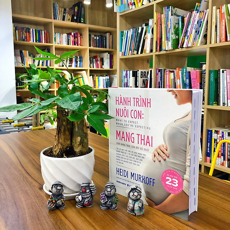 Hành Trình Nuôi Con Mang Thai: Cẩm Nang Thai Sản Đầy Đủ Nhất