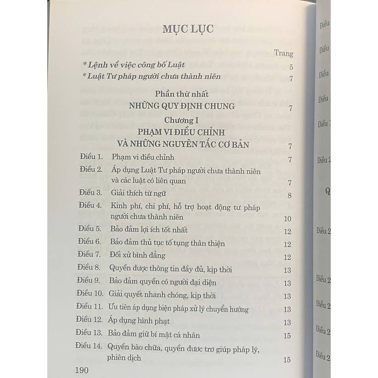 Luật Tư pháp Người Chưa Thành Niên Năm 2024 - Ảnh 4