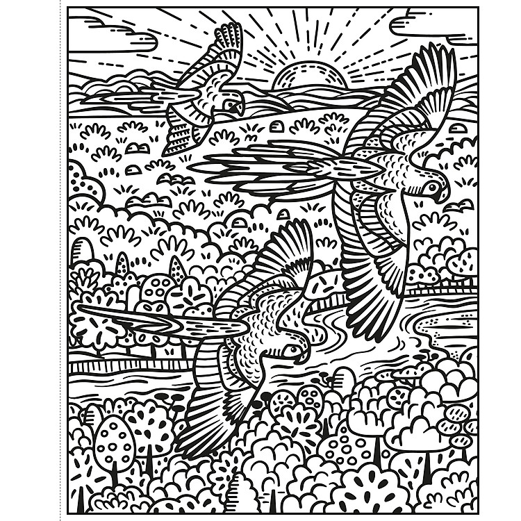 Birds Magic Painting Book - Ảnh 5