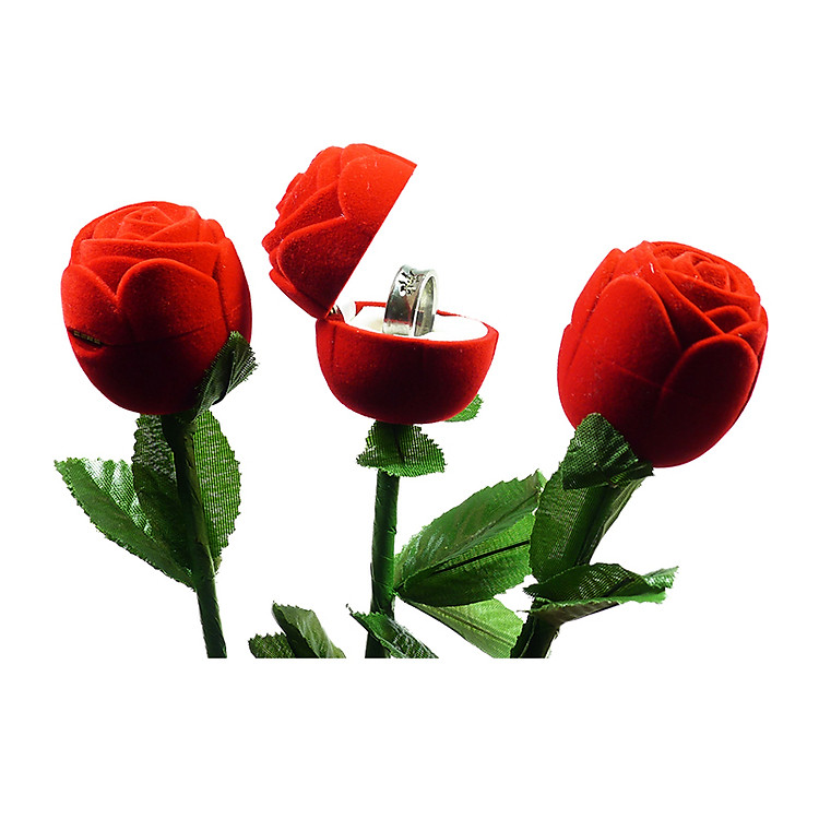 Đồ chơi dụng cụ ảo thuật độc đáo: Hoa hồng cầu hôn