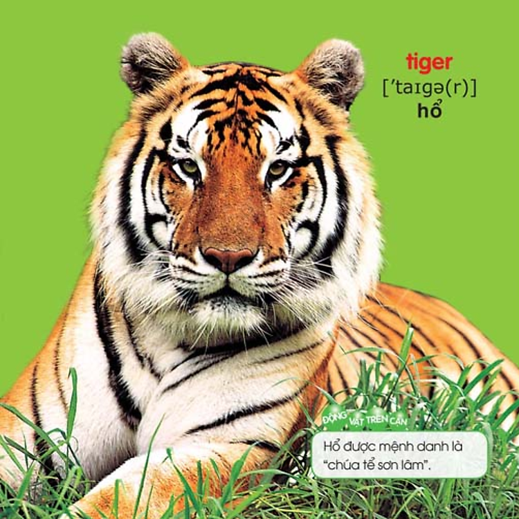 Bé Yêu Đi Mẫu Giáo - Ảnh 2