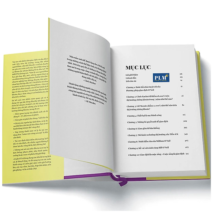 ĐỆ TỬ CHÂN TRUYỀN CỦA O’NEIL: CÁCH KIẾM LỢI NHUẬN 18.000% từ TTCK và LÀM GIÀU TỪ BÁN KHỐNG - Ảnh 5