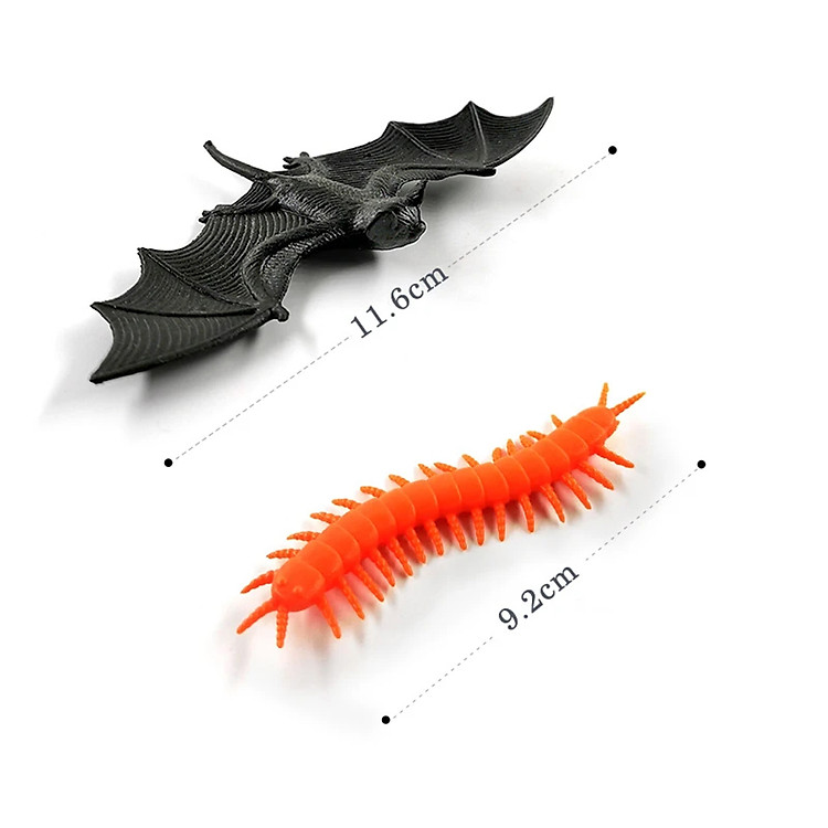 Bộ 12 côn trùng giả giáo dục New4all Chính hãng Ưu đãi - Hình ảnh 5