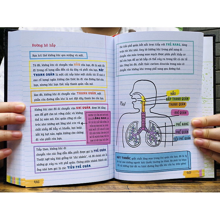 Sổ tay Khoa Học - Tổng Hợp Kiến Thức Cho Học Sinh Lớp 4 Đến Lớp 9 - Ảnh 4