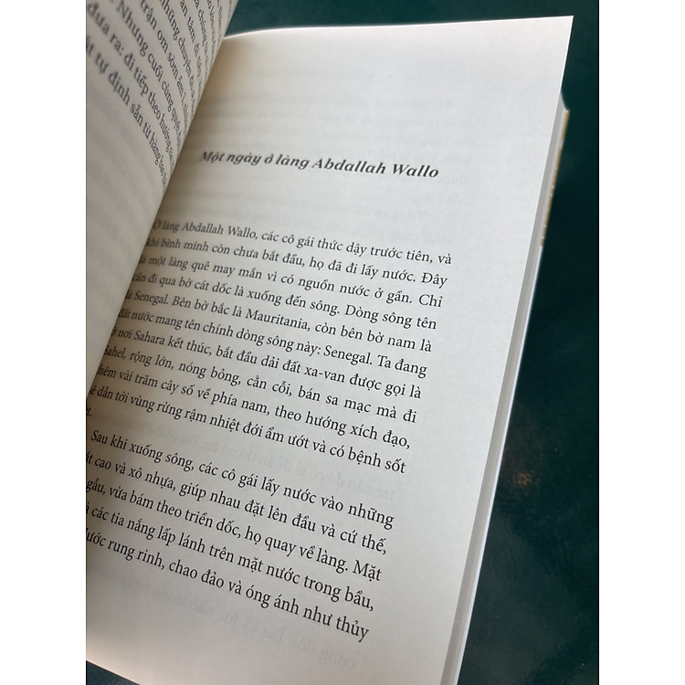 GỖ MUN (Tái bản 2022) - Ảnh 4