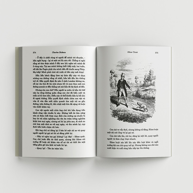 Oliver Twist (Tái Bản) - Ảnh 2
