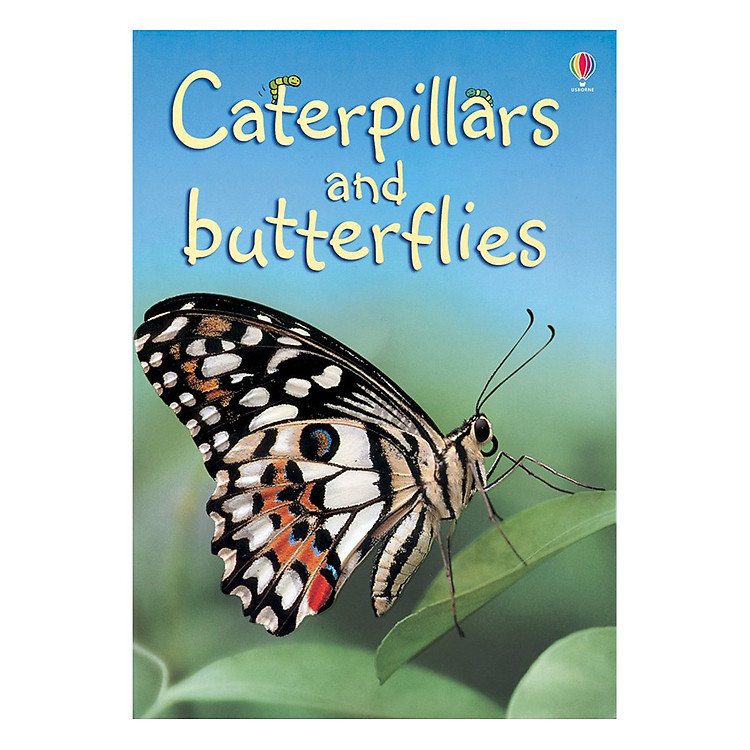 Sách Usborne Caterpillars and Butterflies