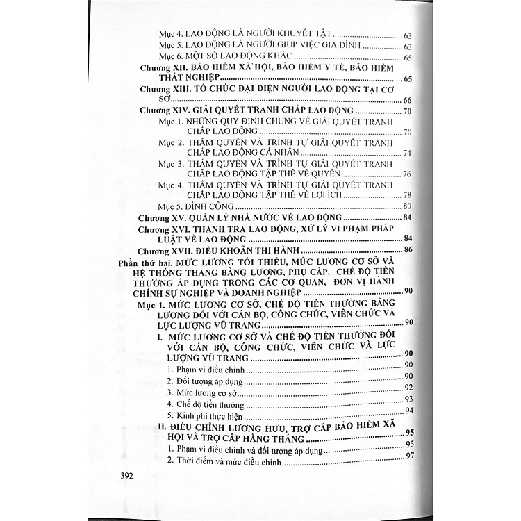 Bộ luật Lao động và Hệ thống thang bảng lương, phụ cấp, chế độ tiền lương, tiền thưởng đối với người hưởng lương - Ảnh 3