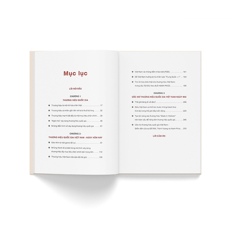 Thương hiệu Việt Nam - Thời khắc vàng - Ảnh 5