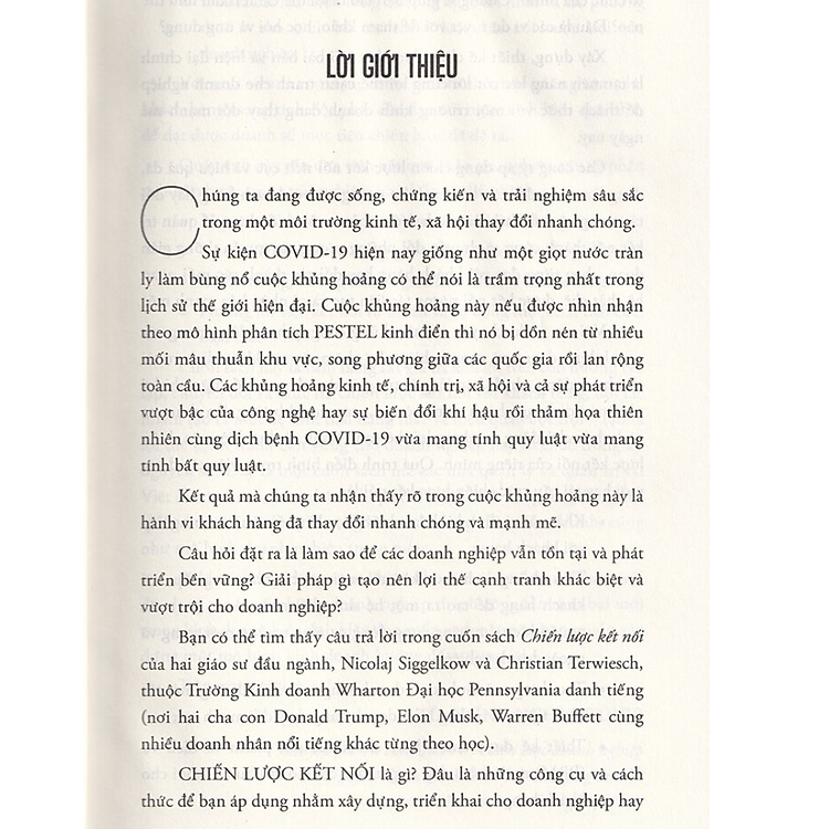 Chiến Lược Kết Nối - Ảnh 2