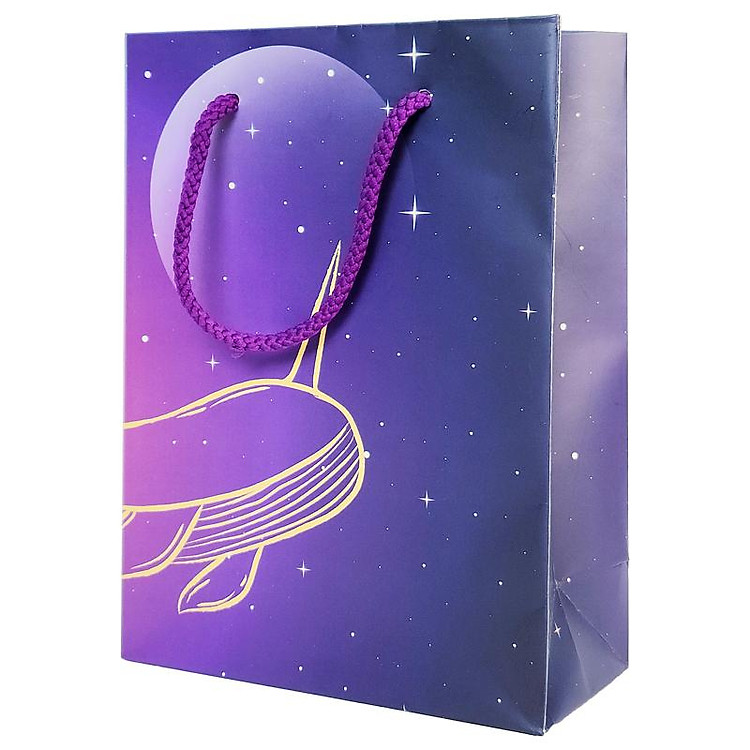 Túi Đựng Quà 16 x 22 x 8 cm - The Whale - Ảnh 2