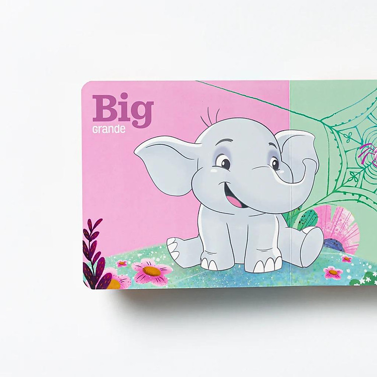 Opposites: Canticos Bilingual Firsts - Ảnh 3