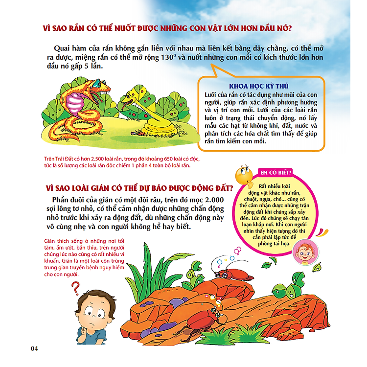 VÌ SAO CHIM LẠI LÀM TỔ? - Ảnh 6