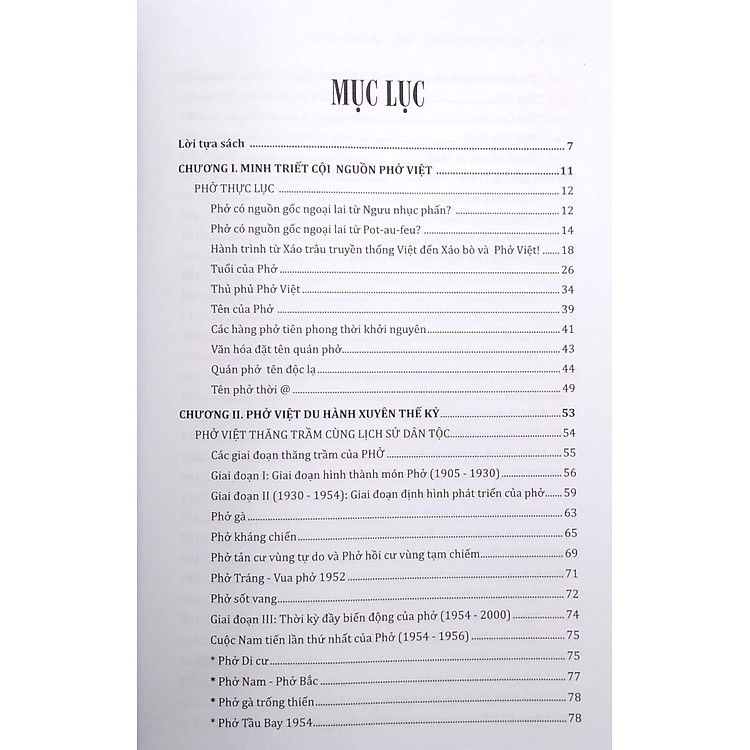 Trăm Năm Phở Việt (Phở Việt Du Hành Xuyên Thế Kỷ) - Ảnh 4