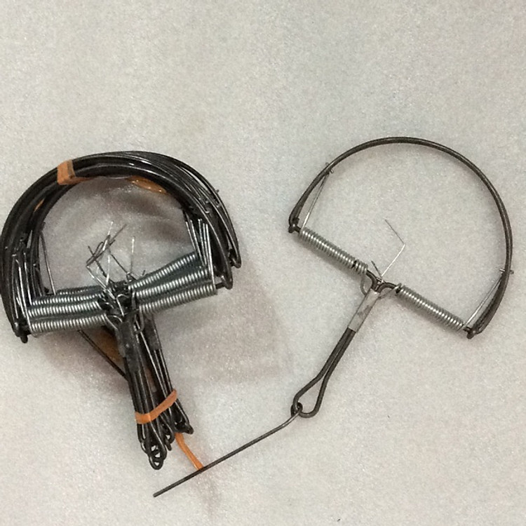 5 chiếc bẫy chuột hình bán nguyệt