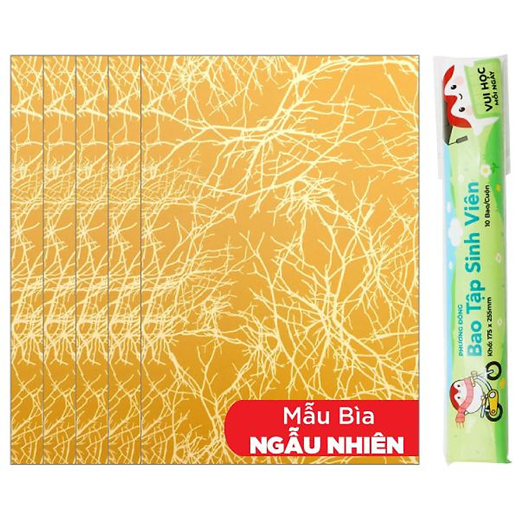 Tập Sinh Viên Kẻ 4 Ô Ly 200 Trang 80gsm (10 quyển)