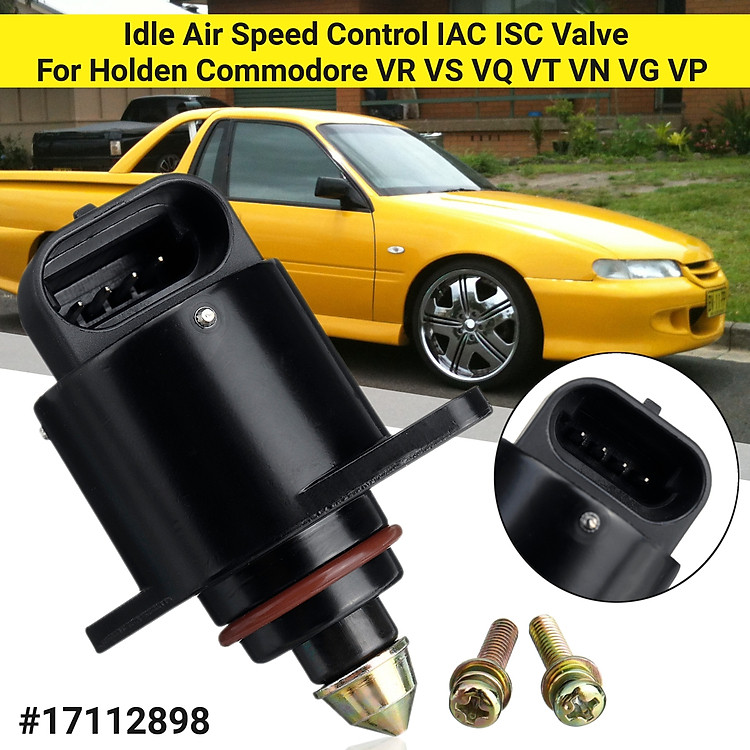 Idle Air Speed Control IAC ISC Valve Fits Holden Commodore VR VS VQ VT VN VG VP 402015266783