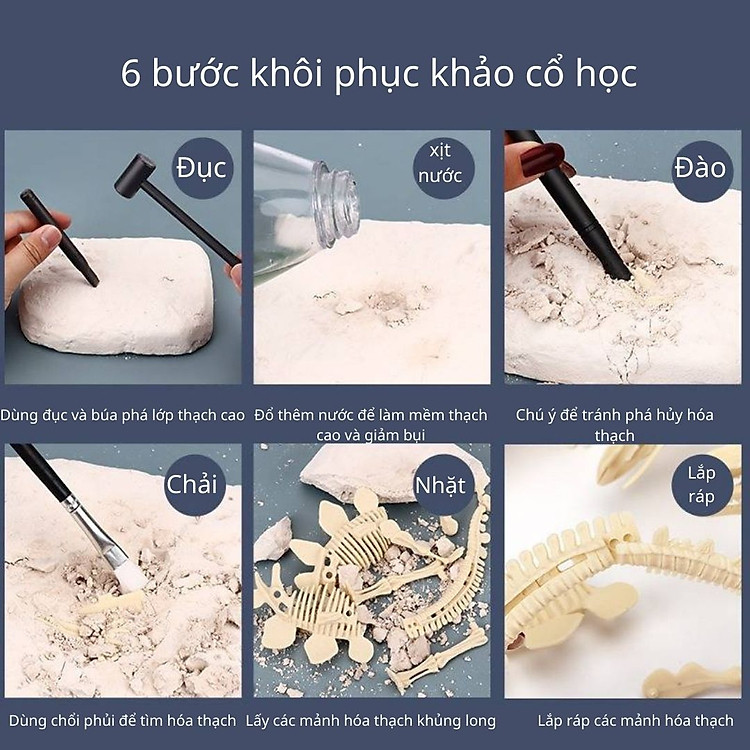 Mô hình Khủng Long hóa thạch EASYKD Chính hãng Giá rẻ - Hình ảnh 4