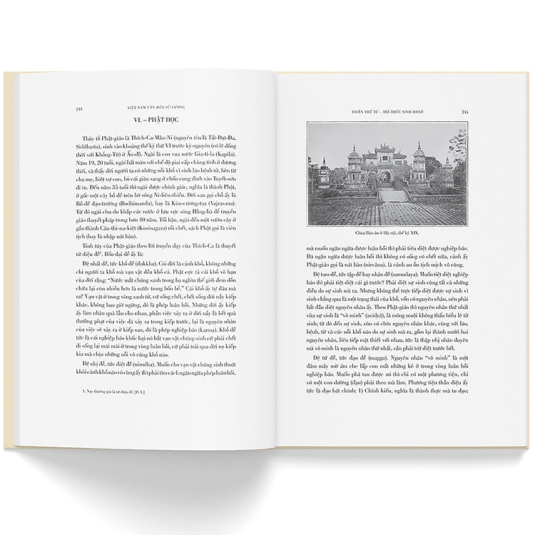 Việt Nam Văn Hoá Sử Cương - Ảnh 5