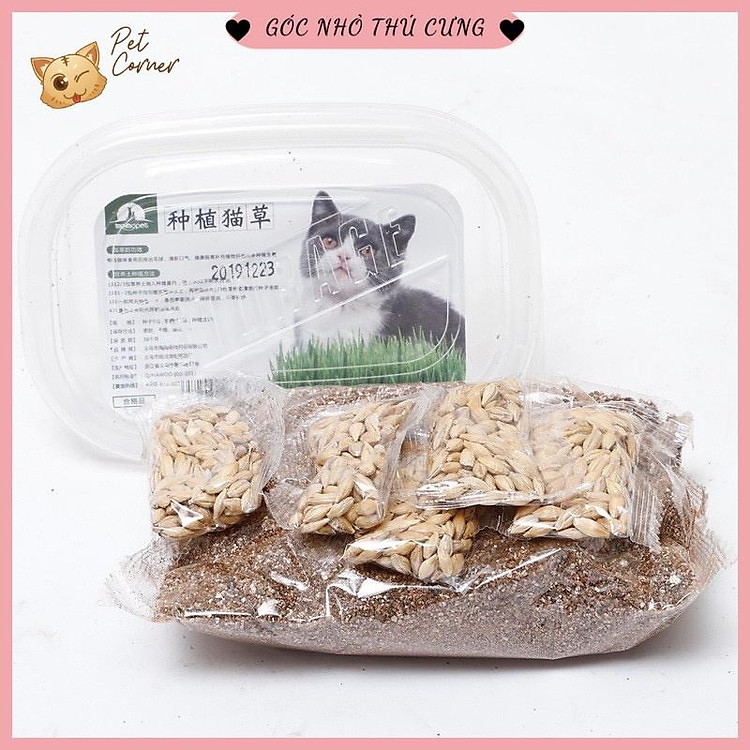 Bộ kit tự trồng cỏ lúa mạch tươi cho mèo (Hộp 100g)